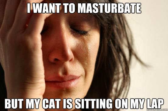 i want to masturbate but my cat is sitting on my lap  First World Problems