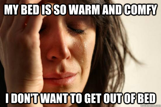 my bed is so warm and comfy i don't want to get out of bed  First World Problems