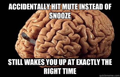 Accidentally hit mute instead of snooze Still wakes you up at exactly the right time  Good Guy Brain