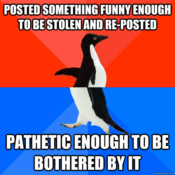 posted something funny enough to be stolen and re-posted pathetic enough to be bothered by it  Socially Awesome Awkward Penguin