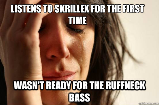 Listens to skrillex for the first time wasn't ready for the ruffneck bass  First World Problems