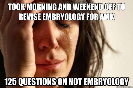 Took morning and weekend off to revise embryology for AMK 125 questions on not embryology  First World Problems