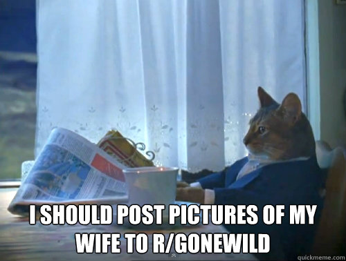  I should post pictures of my wife to r/gonewild  The One Percent Cat