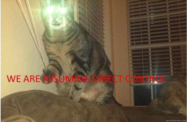   -    Misc