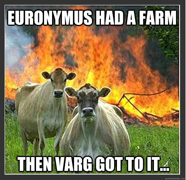 Euronymus had a farm then varg got to it...   Evil cows