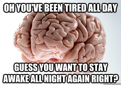 Oh you've been tired all day Guess you want to stay awake all night again right?   Scumbag Brain