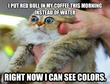I put Red Bull in my coffee this morning instead of water right now i can see colors. - I put Red Bull in my coffee this morning instead of water right now i can see colors.  Trippy Tabby