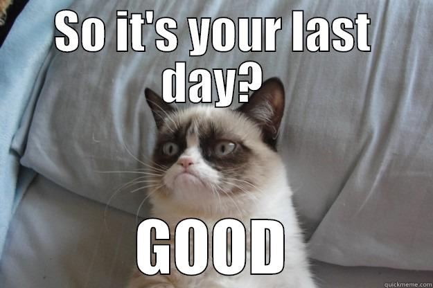 Last day of work - SO IT'S YOUR LAST DAY? GOOD Grumpy Cat