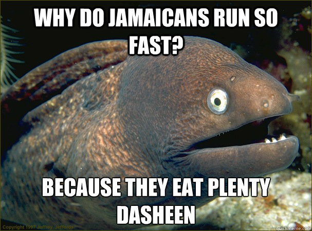 Why do Jamaicans run so fast? Because they eat plenty dasheen  Bad Joke Eel