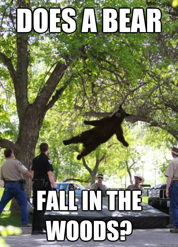 Does a bear fall in the woods? - Does a bear fall in the woods?  Misc