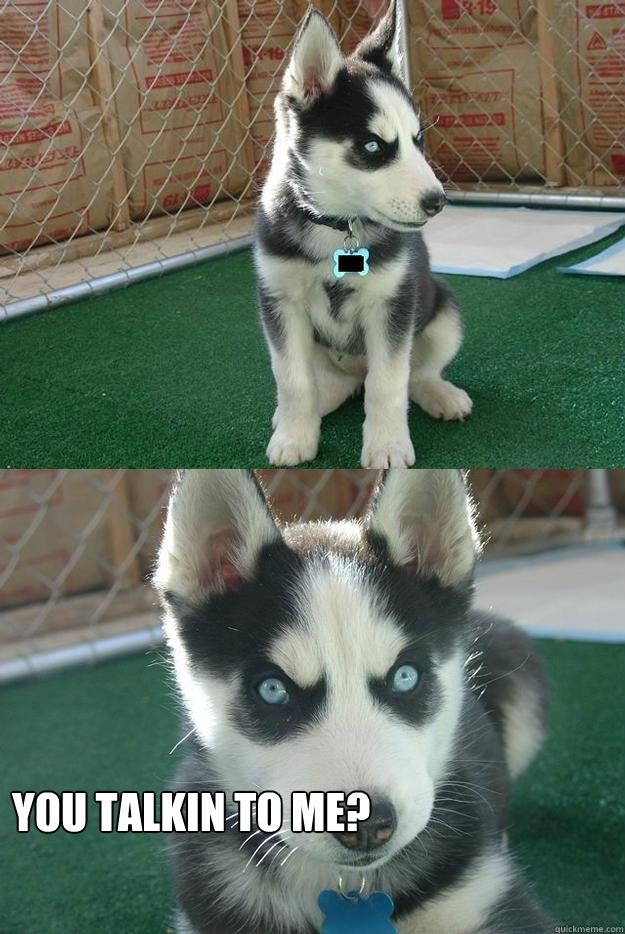  You talkin to me?  Insanity puppy