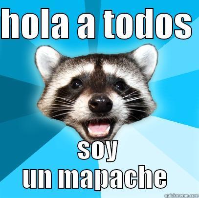 HOLA A TODOS  SOY UN MAPACHE  Lame Pun Coon