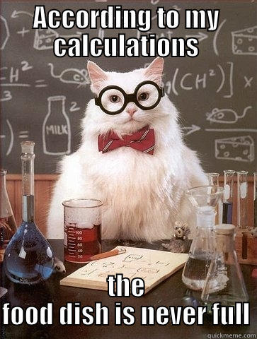 ACCORDING TO MY CALCULATIONS THE FOOD DISH IS NEVER FULL Chemistry Cat