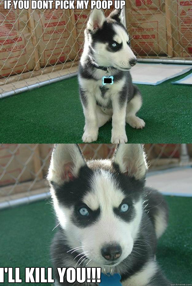 If you dont pick my poop up i'll kill YOU!!!  Insanity puppy