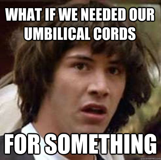 WHAT IF WE NEEDED OUR UMBILICAL CORDS FOR SOMETHING  conspiracy keanu