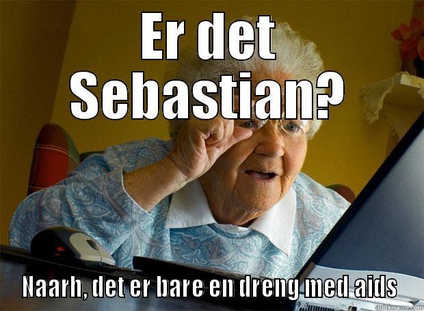 ER DET SEBASTIAN? NAARH, DET ER BARE EN DRENG MED AIDS Grandma finds the Internet