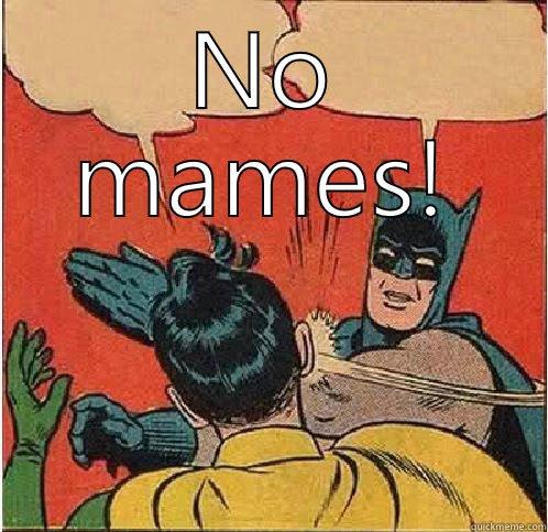 NO MAMES!  Batman Slapping Robin
