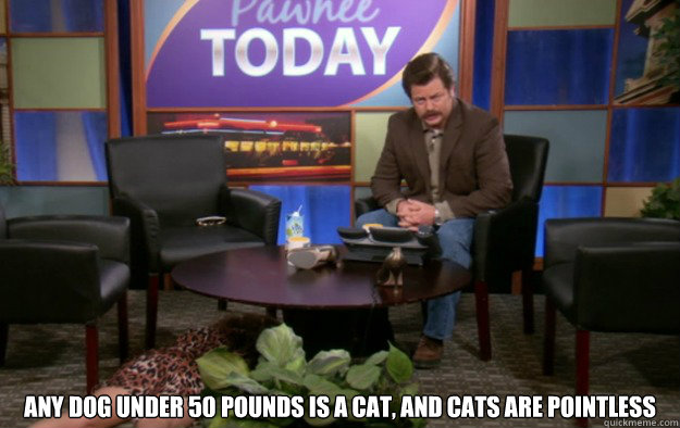  Any dog under 50 pounds is a cat, and cats are pointless -  Any dog under 50 pounds is a cat, and cats are pointless  ron swanson advice