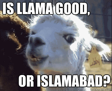 Is llama good, or Islamabad?  
