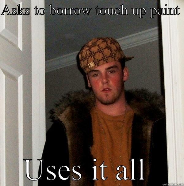 ASKS TO BORROW TOUCH UP PAINT  USES IT ALL  Scumbag Steve