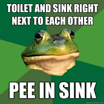 Toilet and sink right next to each other Pee in sink  Foul Bachelor Frog