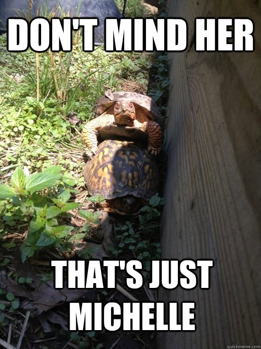 Don't Mind Her That's just Michelle - Don't Mind Her That's just Michelle  Promiscuous Tortoise