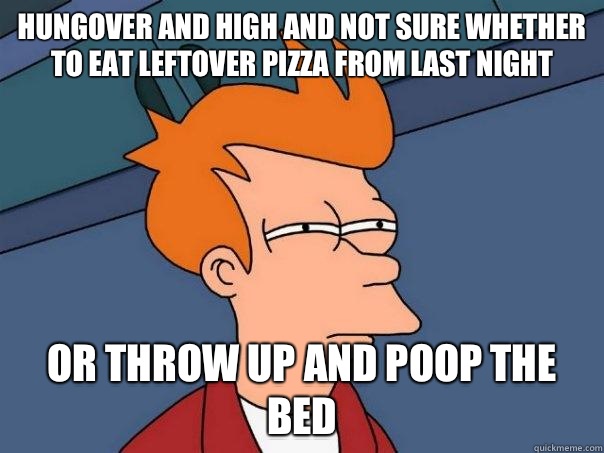 Hungover and high and not sure whether to eat leftover pizza from last night Or throw up and poop the bed  Futurama Fry