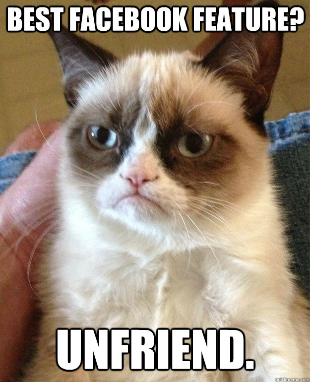 BEST Facebook Feature? UNFRIEND.  Grumpy Cat