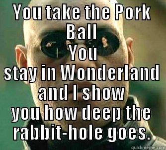 YOU TAKE THE PORK BALL  YOU STAY IN WONDERLAND AND I SHOW YOU HOW DEEP THE RABBIT-HOLE GOES. Matrix Morpheus