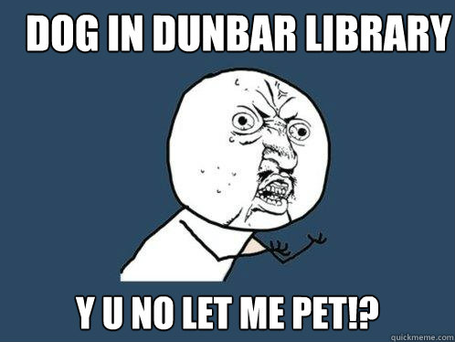 Dog in Dunbar Library Y U no let me pet!?  Y U No