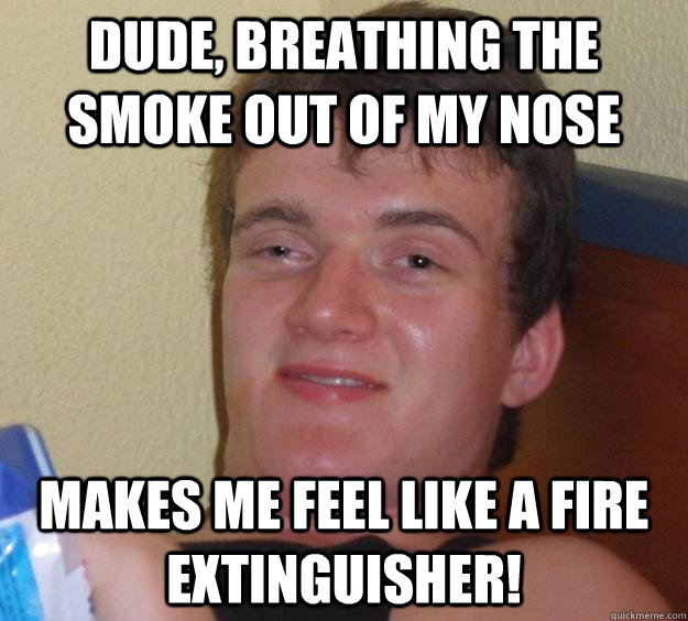 Dude, breathing the smoke out of my nose makes me feel like a fire extinguisher!   10 Guy