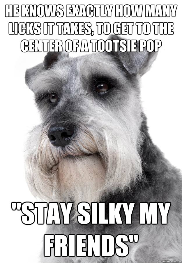 He knows exactly how many licks it takes, to get to the center of a tootsie pop 