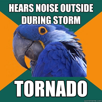 Hears noise outside during storm tornado  Paranoid Parrot