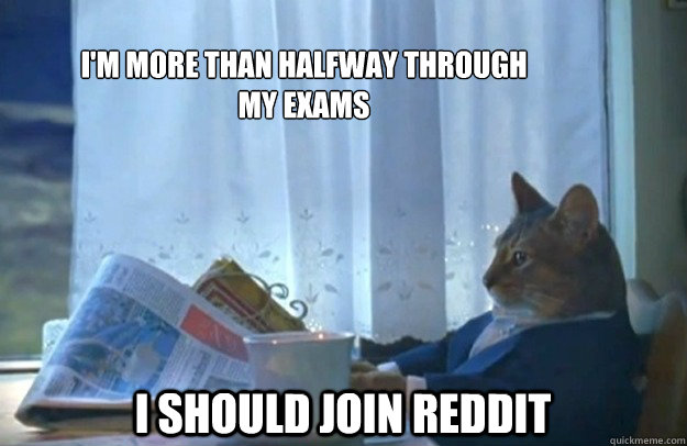I'm more than halfway through my exams I should join reddit  Sophisticated Cat