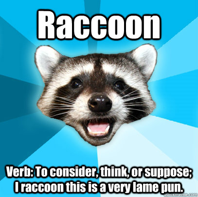Raccoon Verb: To consider, think, or suppose; I raccoon this is a very lame pun.  Lame Pun Coon
