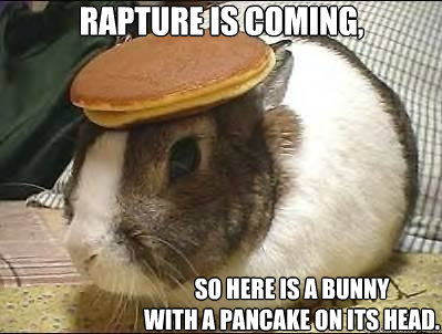 Rapture is coming, So here is a bunny 
with a pancake on its head. - Rapture is coming, So here is a bunny 
with a pancake on its head.  Pancake Bunny