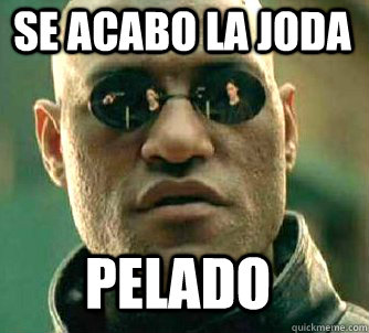 SE ACABO LA JODA PELADO  Matrix Morpheus