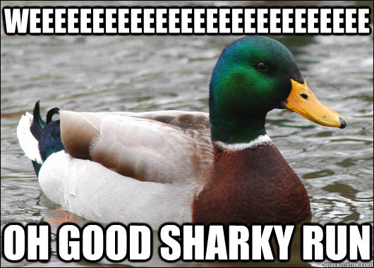 weeeeeeeeeeeeeeeeeeeeeeeeeee oh good sharky run   Actual Advice Mallard