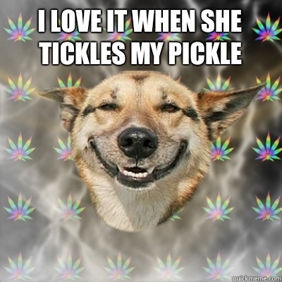 I love it when she tickles my pickle    Stoner Dog