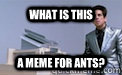what is this A meme for ants? - what is this A meme for ants?  Angry Zoolander
