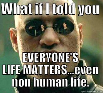 WHAT IF I TOLD YOU  EVERYONE'S LIFE MATTERS...EVEN NON HUMAN LIFE. Matrix Morpheus