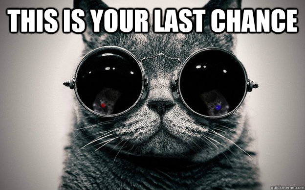 this is your last chance   Cat morpheus plus paws
