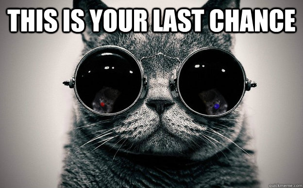 this is your last chance   Cat morpheus plus paws