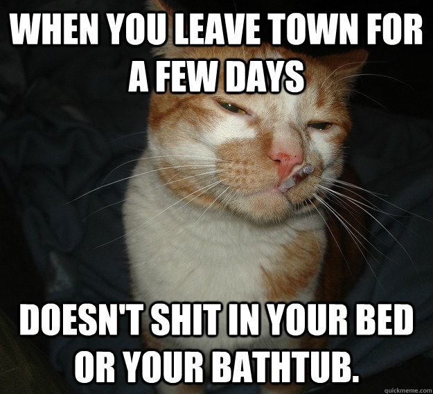When you leave town for a few days doesn't shit in your bed or your bathtub.  Cool Cat Craig