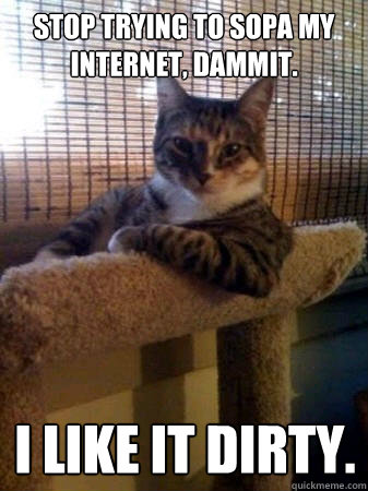 Stop trying to SOPA my internet, dammit.  I like it DIRTY.  The Most Interesting Cat in the World