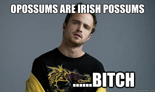 Opossums are Irish possums                  ......bitch  Jesse Pinkman Loves the word Bitch