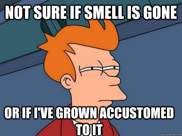 Not sure if smell is gone Or if I've grown accustomed to it  Futurama Fry