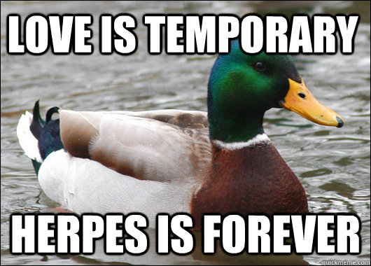 Love Is Temporary Herpes Is forever  Actual Advice Mallard