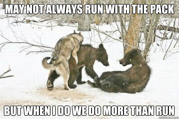 May not always Run With the Pack But when I do we do more than run  Good Guy Insanity Wolf