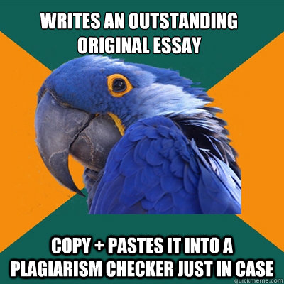 Writes an outstanding original essay  Copy + Pastes it into a plagiarism checker just in case  Paranoid Parrot